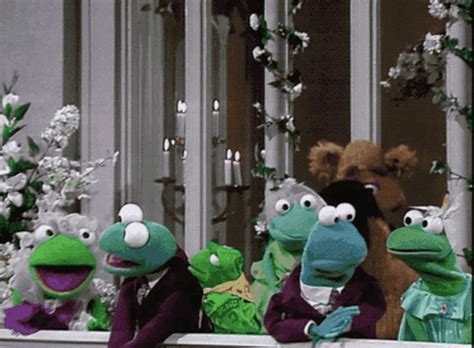 muppet gif|muppet explosion gif.